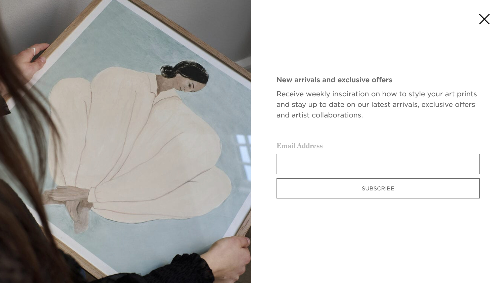 Poster Club Pop-up on Website