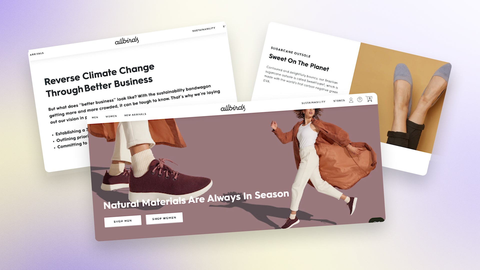 三张展示众鸟品牌一致性的图片