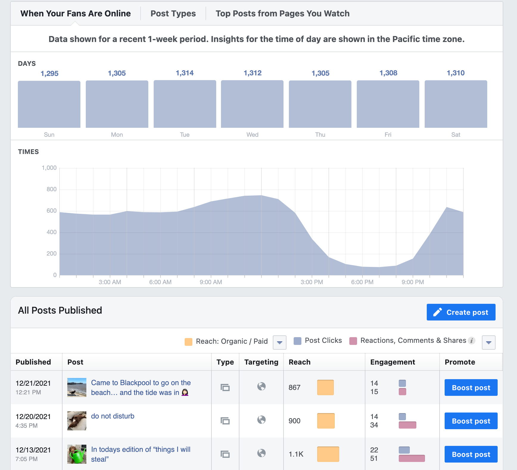 Facebook Insights