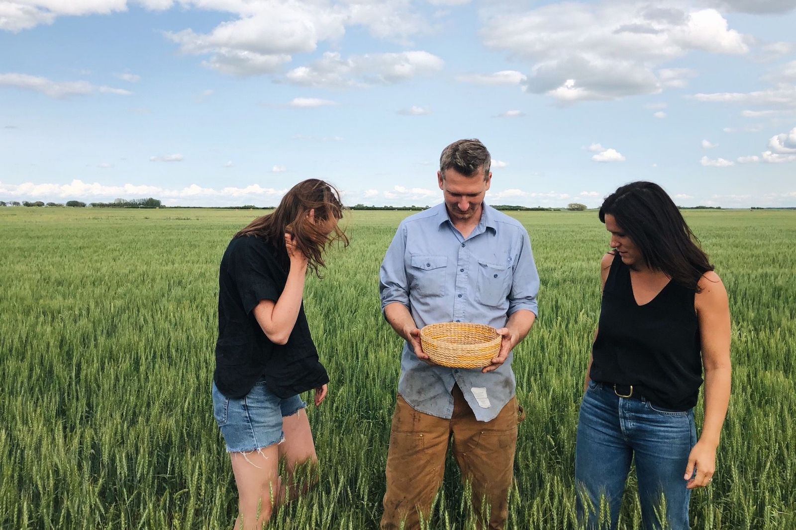 珍娜和希拉在加拿大萨斯喀彻温省威尔的农场里检查他的有机法国小扁豆。