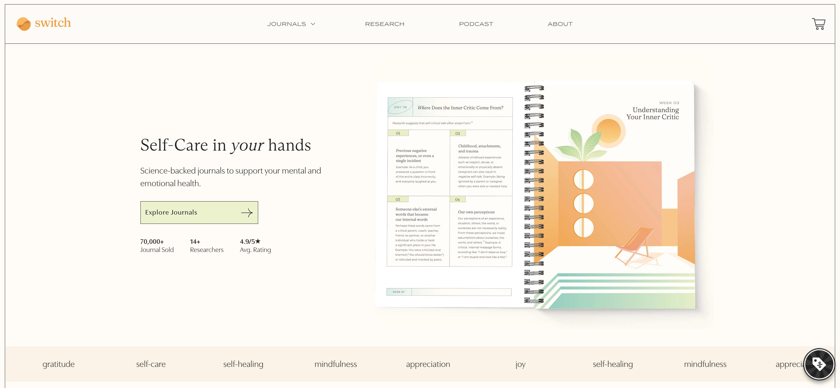 Switch’s website uses muted tones with a bright, clear image of the journal.