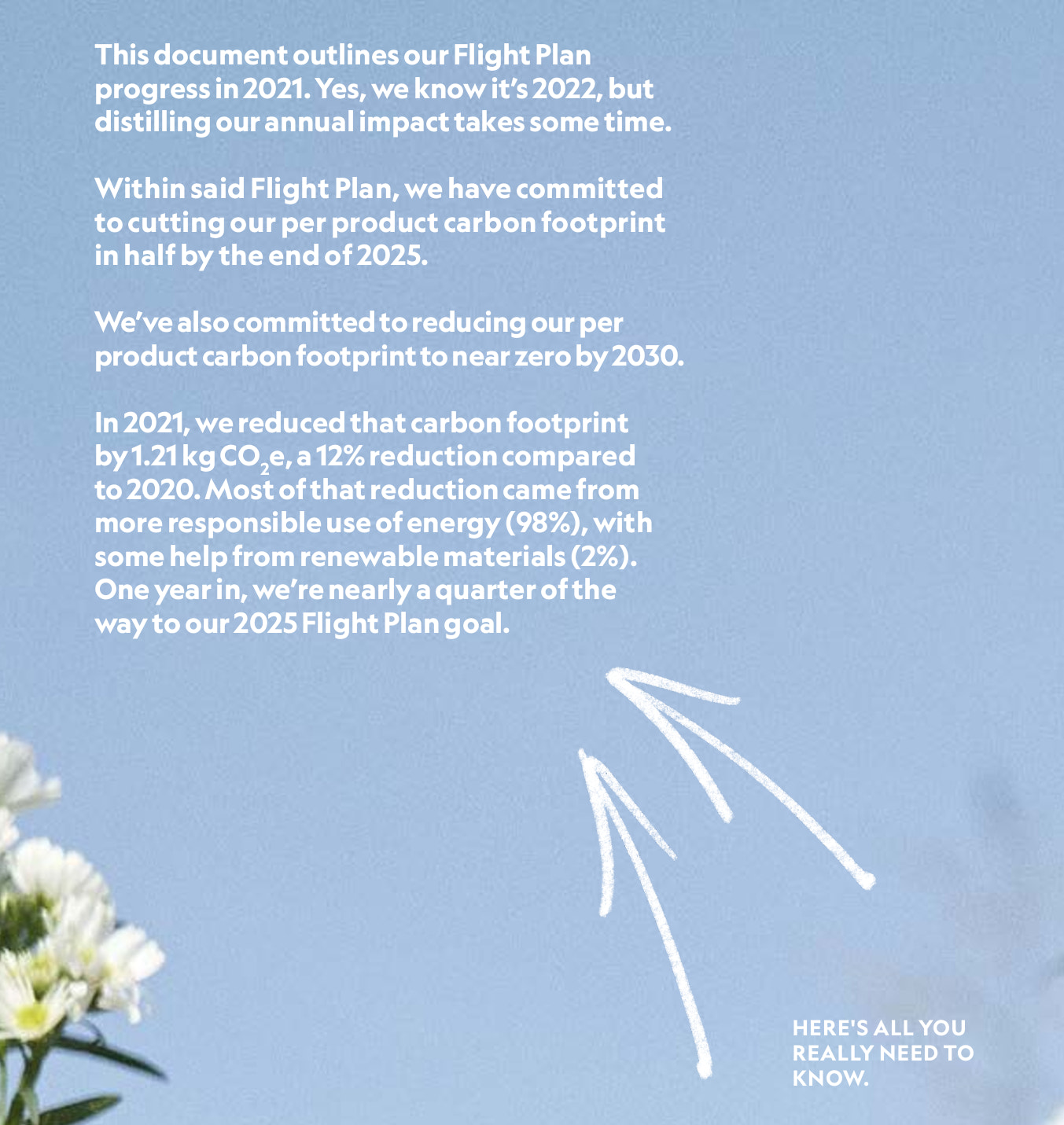 Allbirds执行摘要示例