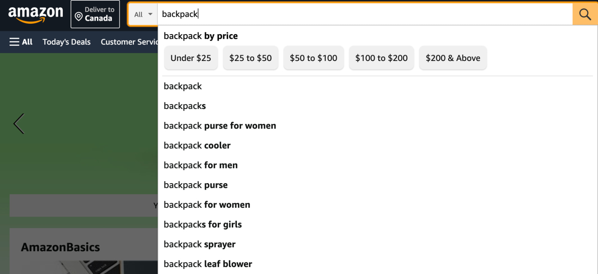 amazon keyword search