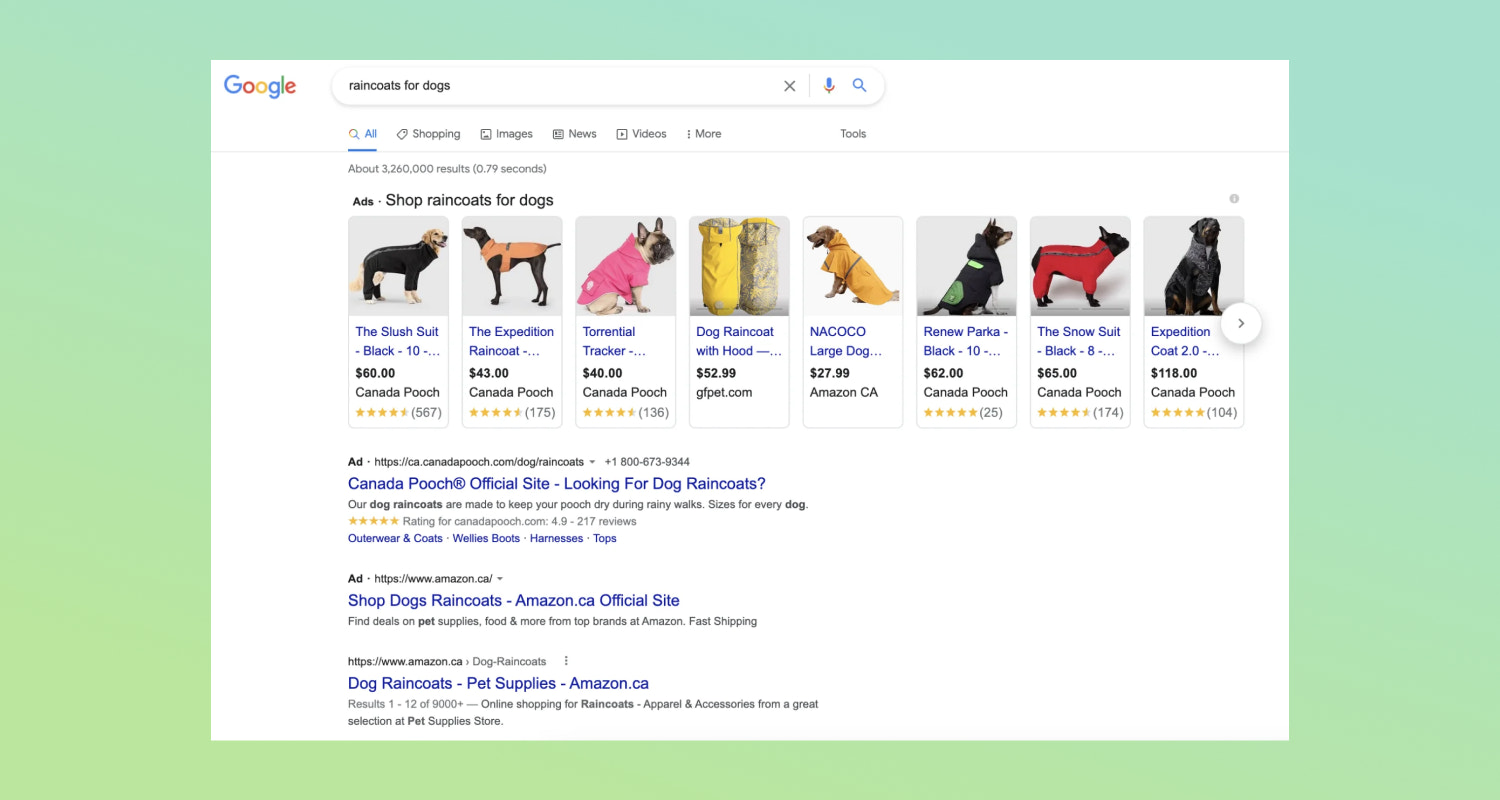 Google search results page for the commercial keyword “raincoats for dogs” with ecommerce results.