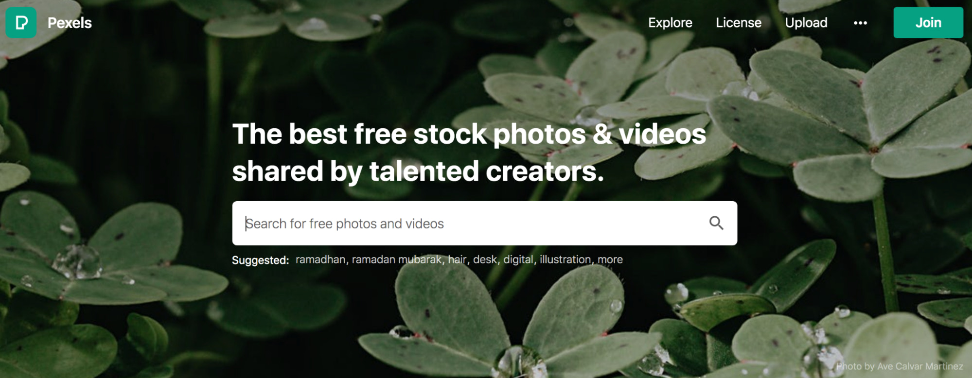 西蒂反对immagini gratuite per uso commerciale: Pexels