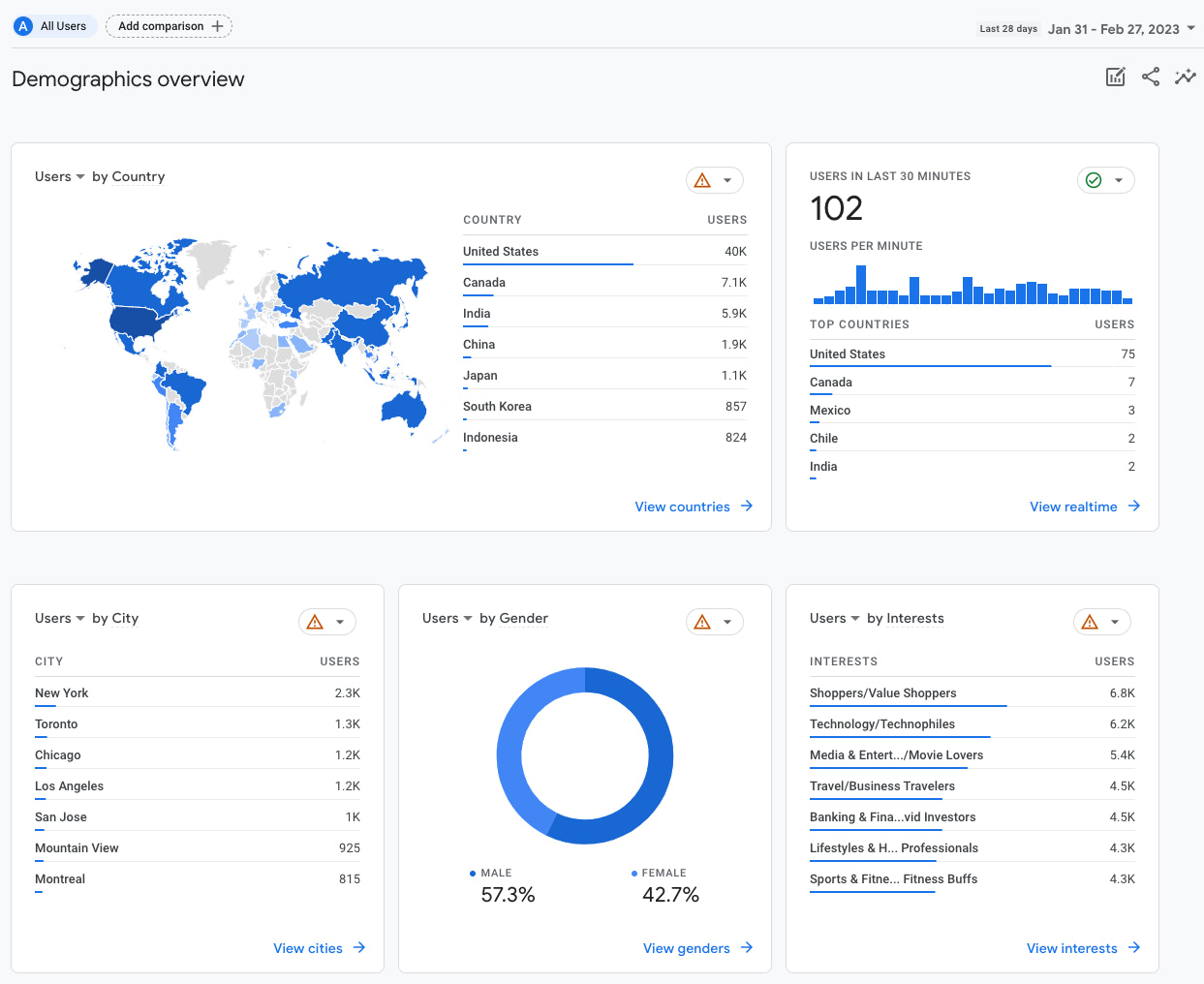 Screenshot of demographics data in Google Analytics.