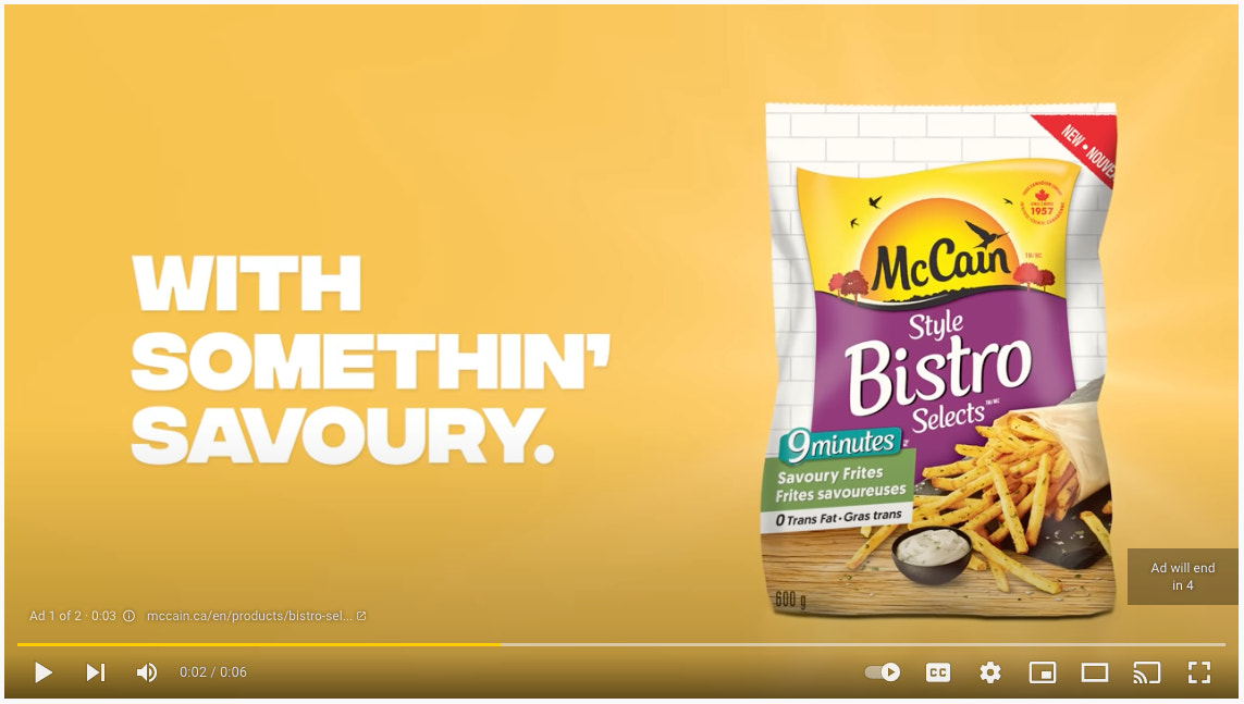 google-ads-types-youtube-bumper-ad-example