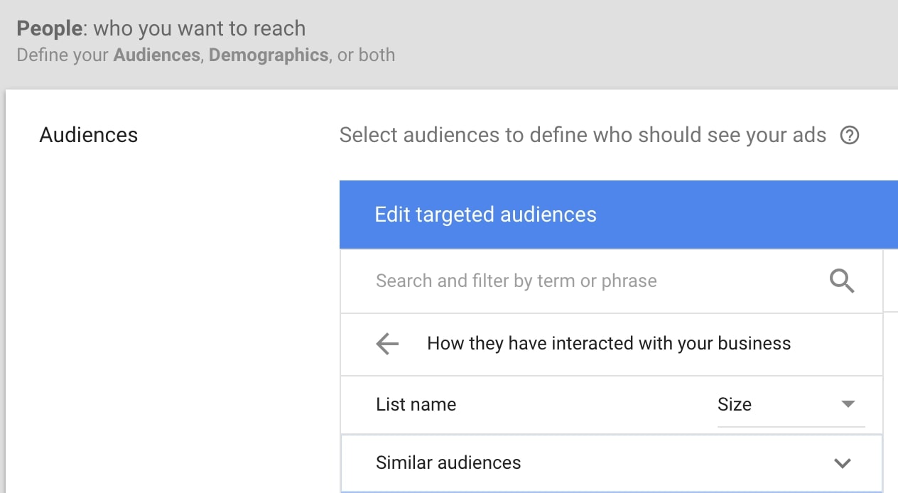 google-ads-types-similar-audience-campaign-example