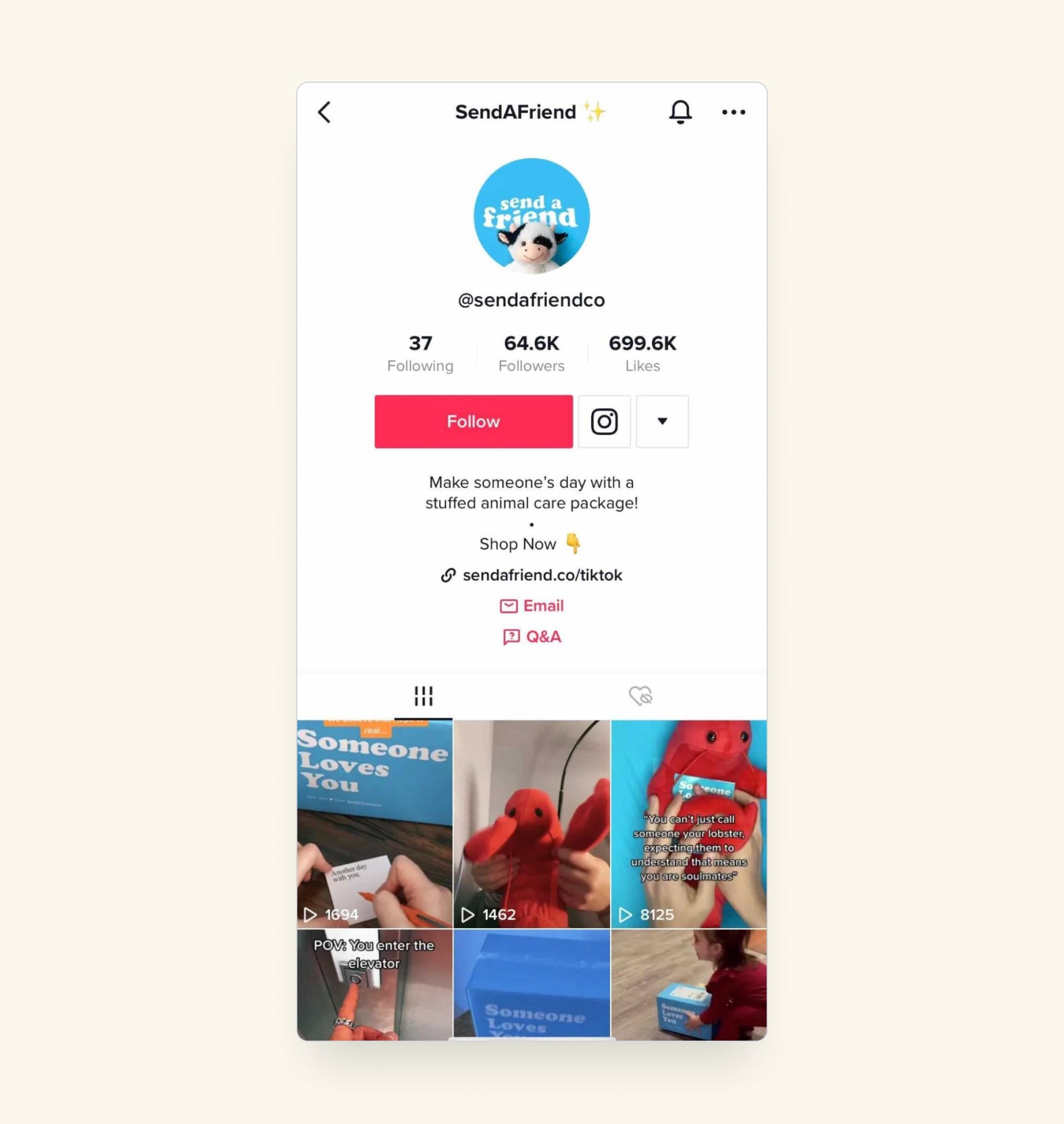 tiktok profile example
