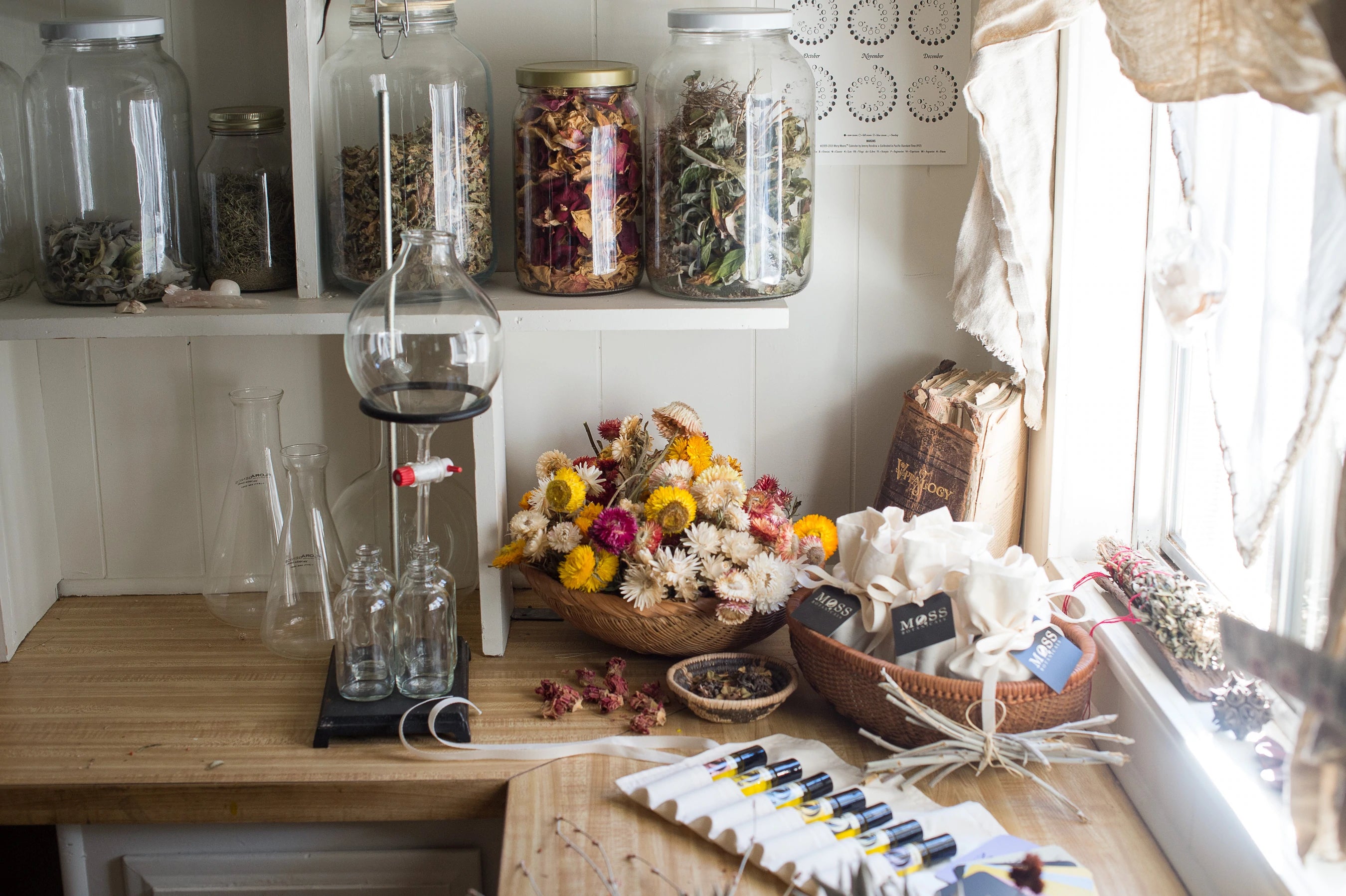 Moss Botanicals零售空间的内部,架子上有罐子和各种干燥的草药