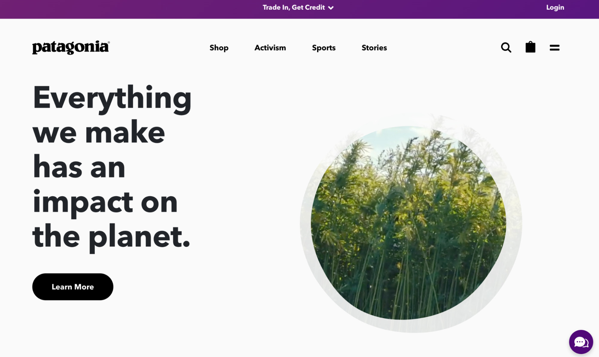 Patagonia mission statement