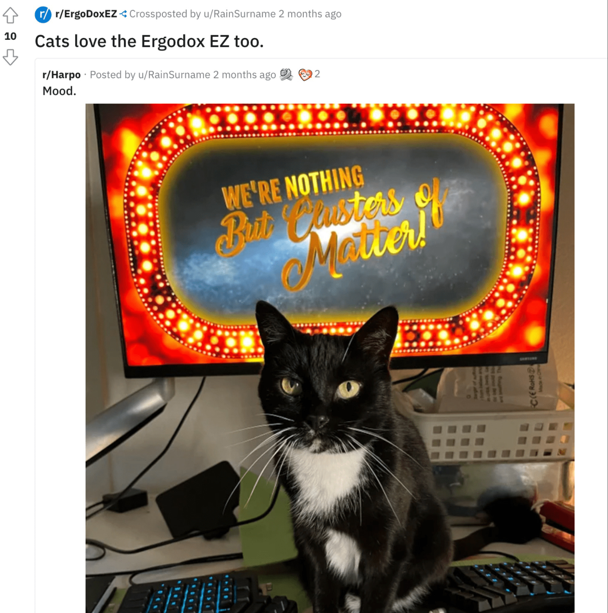 reddit r/ErgoDoxEZ版块的截图,UGC展示了一只猫坐在键盘旁边