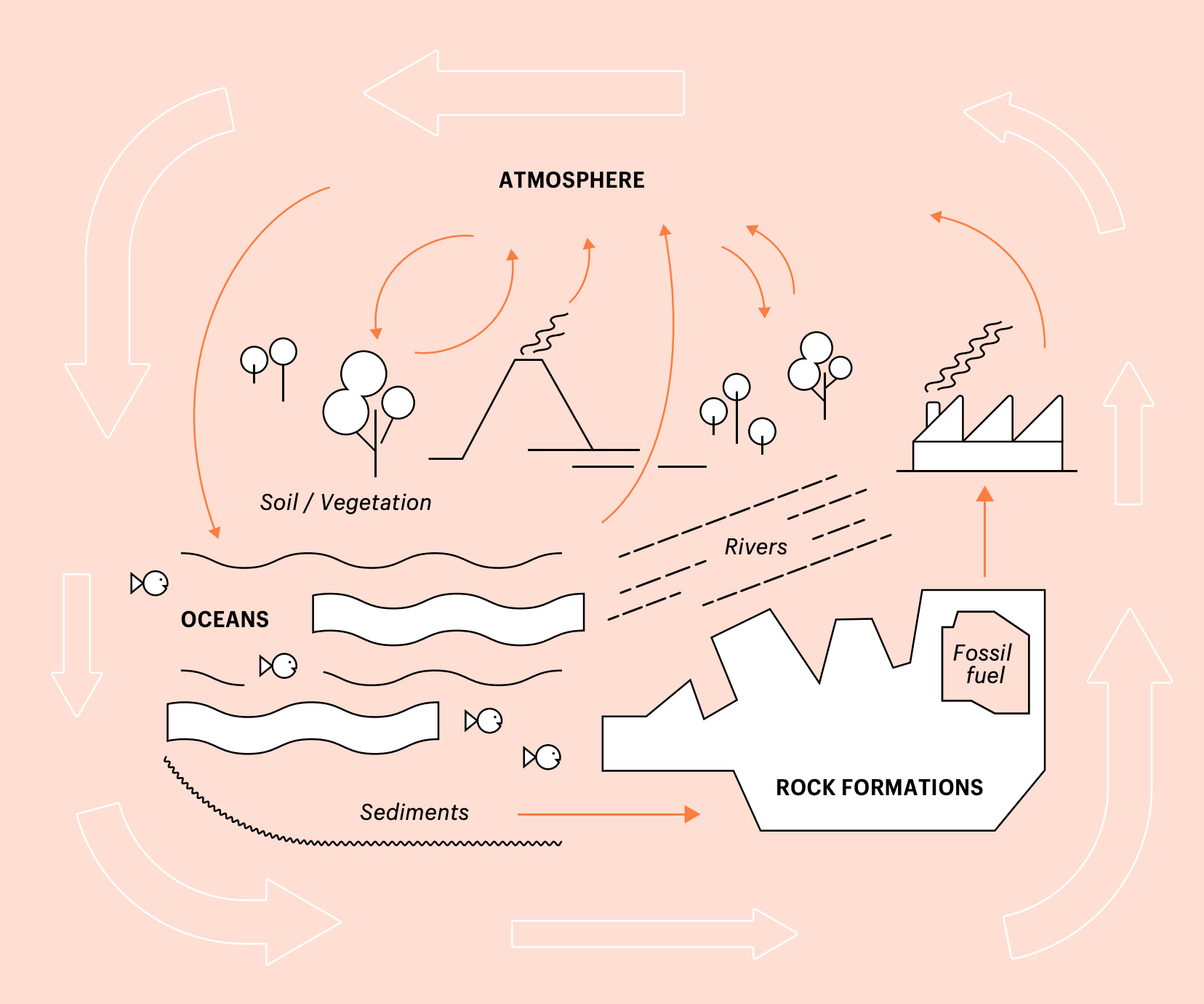 显示环境中碳去除过程的图表