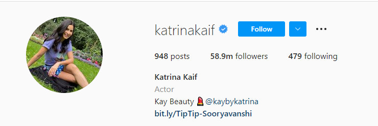 一个名人Instagram粉丝的例子