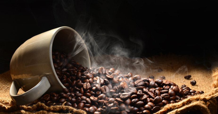 provedores de caf<s:1>