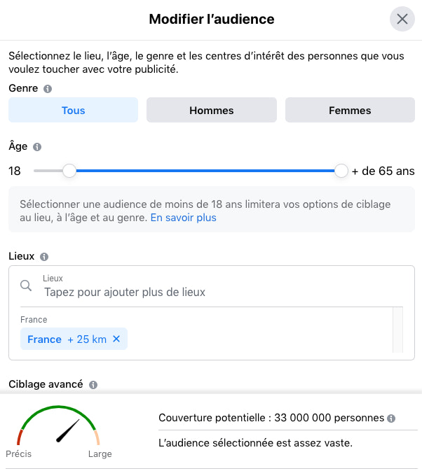 Audience publicité Facebook