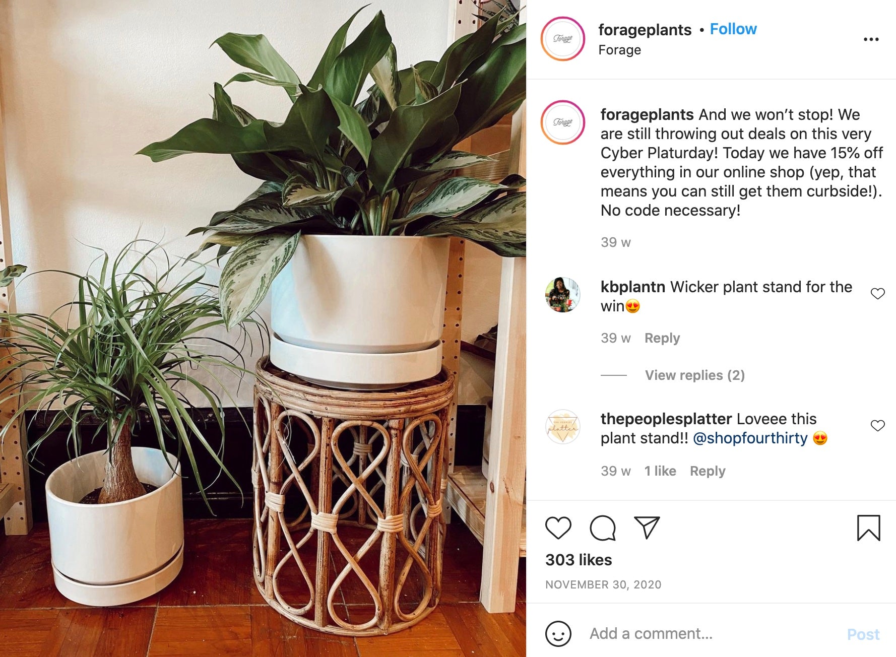 牧草植物网上植物周六销售