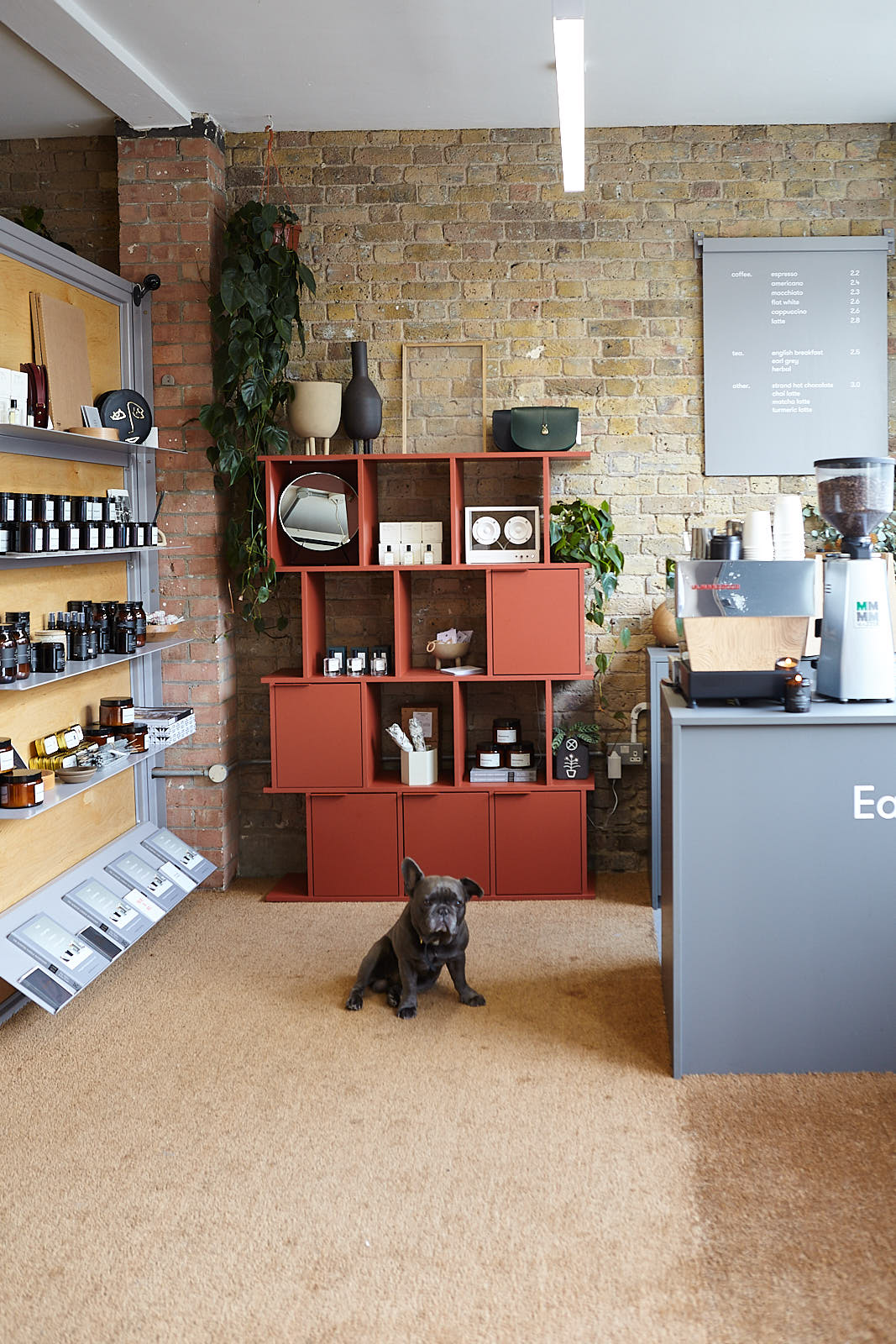 东哈克尼伯爵的位置法国斗牛犬