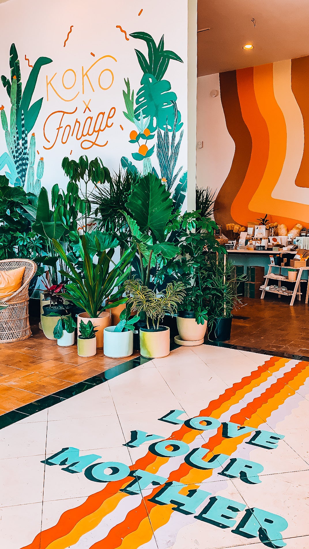 有植物的商店入口