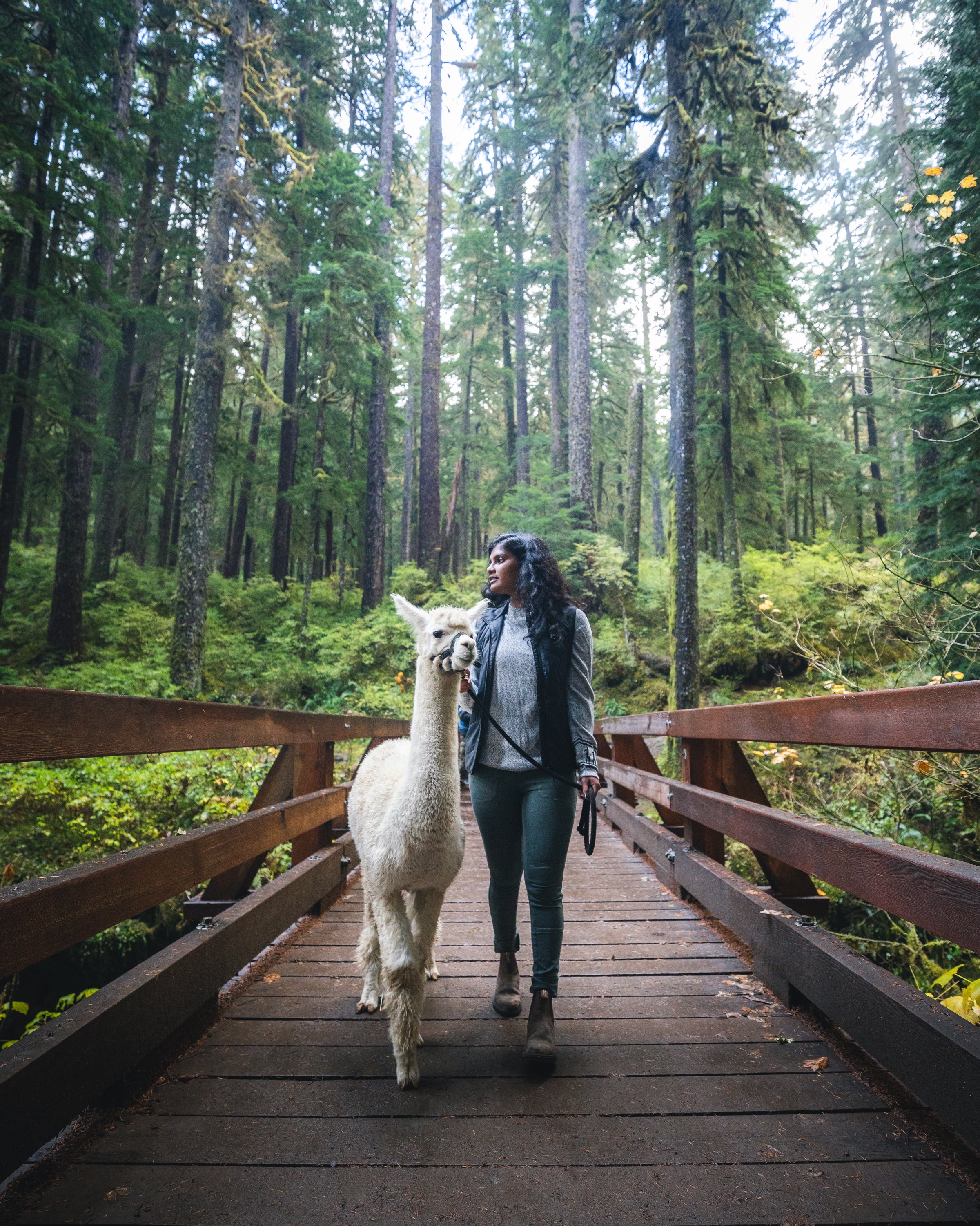 Chaska and Priya stroll through the Olympic Peninsula. Photo by Michael Matti