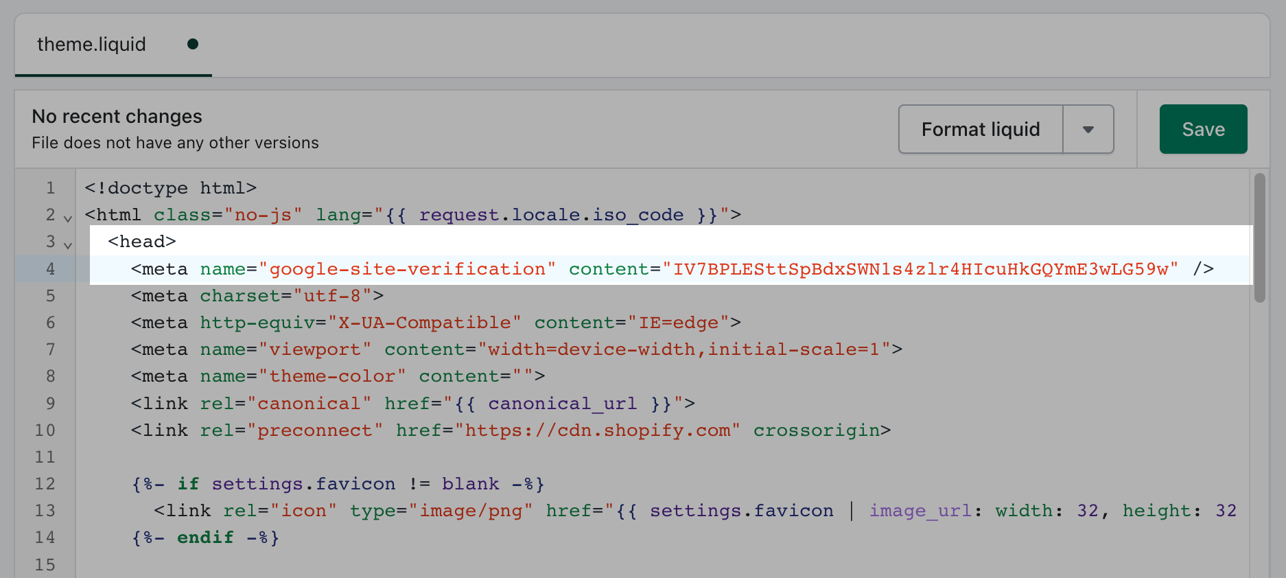 The meta tag pasted below the opening HTML head tag